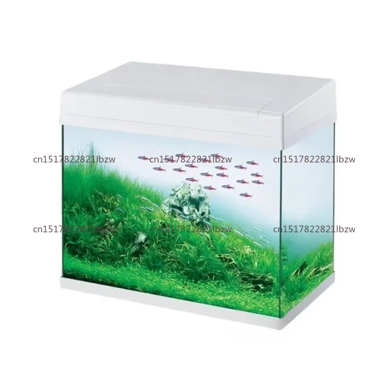 Aquarium Mini Fish - ガラス製水槽 ミニテーブル オフィス/家庭用水槽