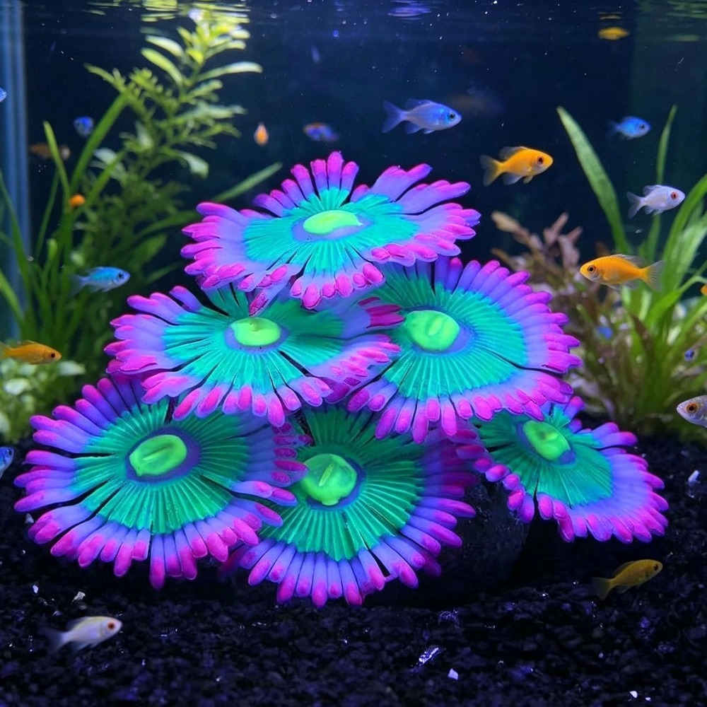 Aquarium Fish For Sale Online - 光る柔らかい水槽飾り シリコン製人工装飾植物 水槽景観用魚アクセサリー