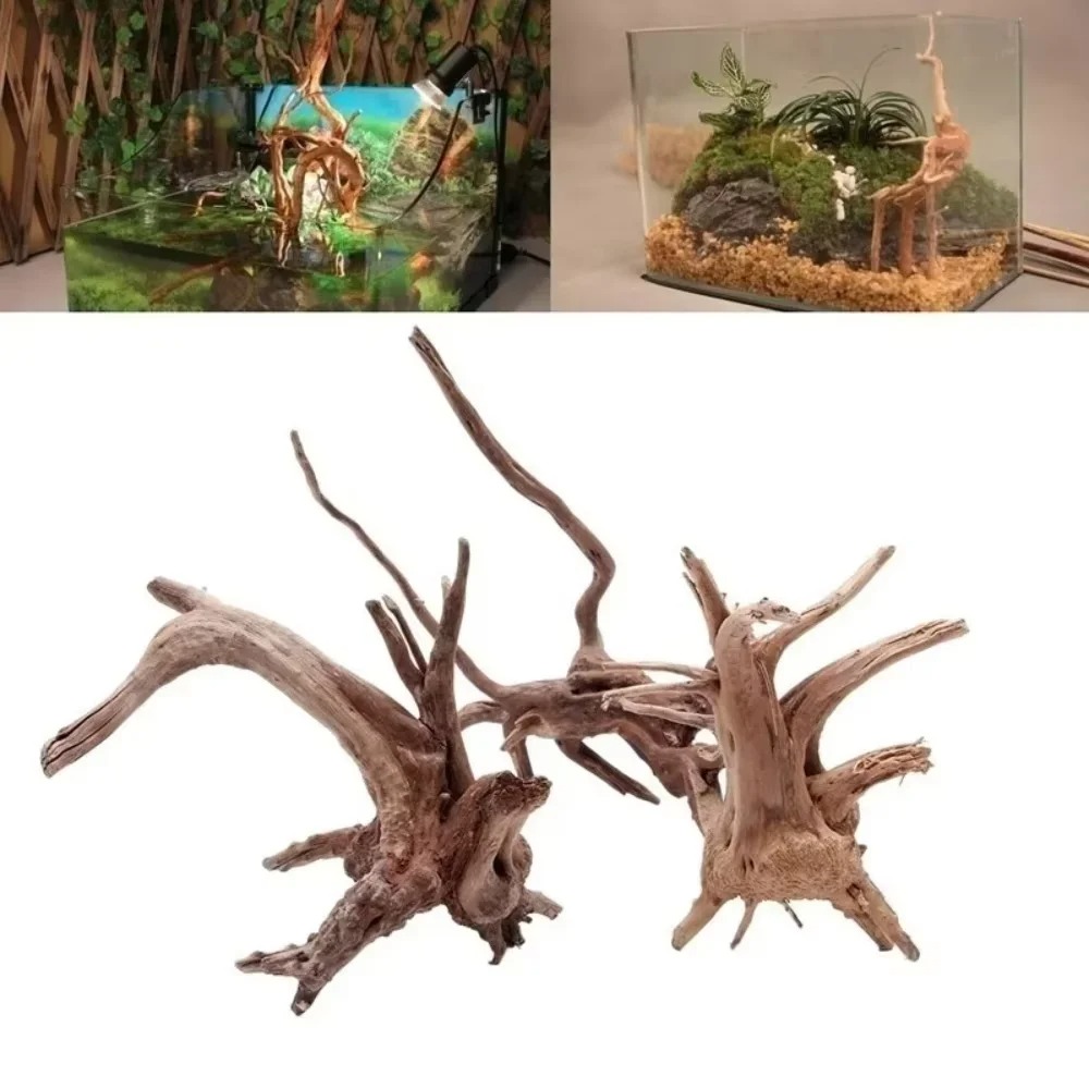Aquarium Fish Land - （15-20cm）天然流木水槽装飾 - 高級木製水槽飾り、水生環境のための本格的な木製景観