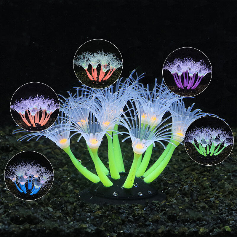 シリコン製光る景観人工魚タンク水槽蛍光サンゴひまわり海葵植物 - Aquarium Fish Games のレビューと価格