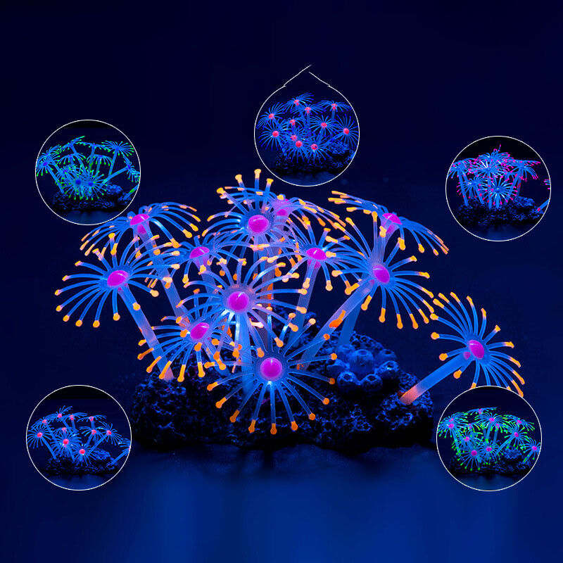 シリコン製光る景観人工魚タンク水槽蛍光サンゴひまわり海葵植物 - Aquarium Fish Games のレビューと価格
