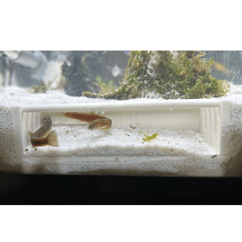 水族館の洞窟 エビの皮 エビの洞窟 エビのトンネル - Aquarium Fish Games のレビューと価格