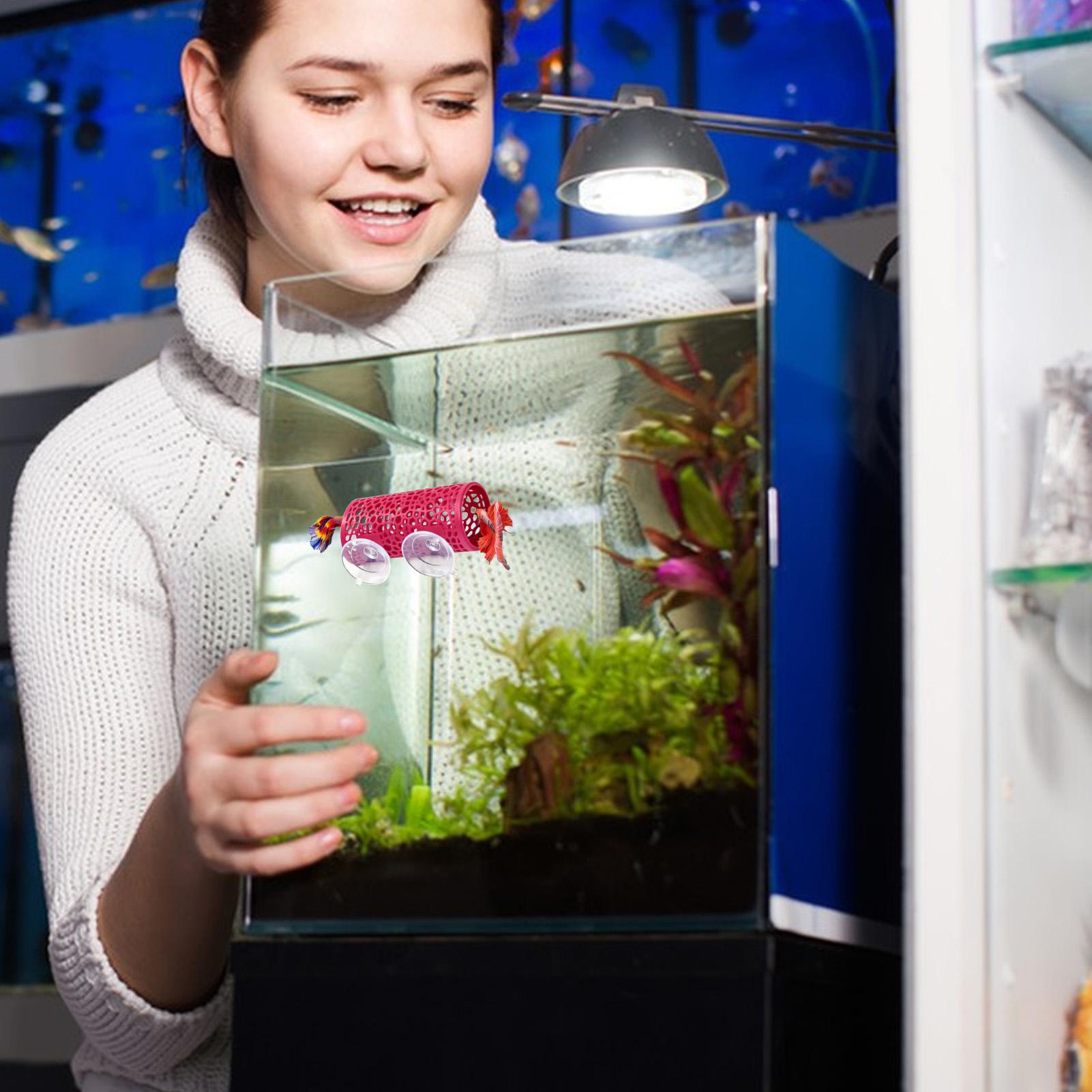 ベタの生息地、休憩用シェルター、装飾用魚トンネルおもちゃ、水 - Aquarium Mini Fish のレビューと価格