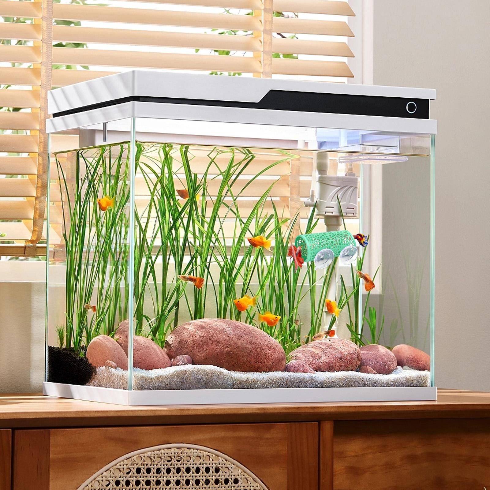 ベタの生息地、休憩用シェルター、装飾用魚トンネルおもちゃ、水 - Aquarium Mini Fish のレビューと価格