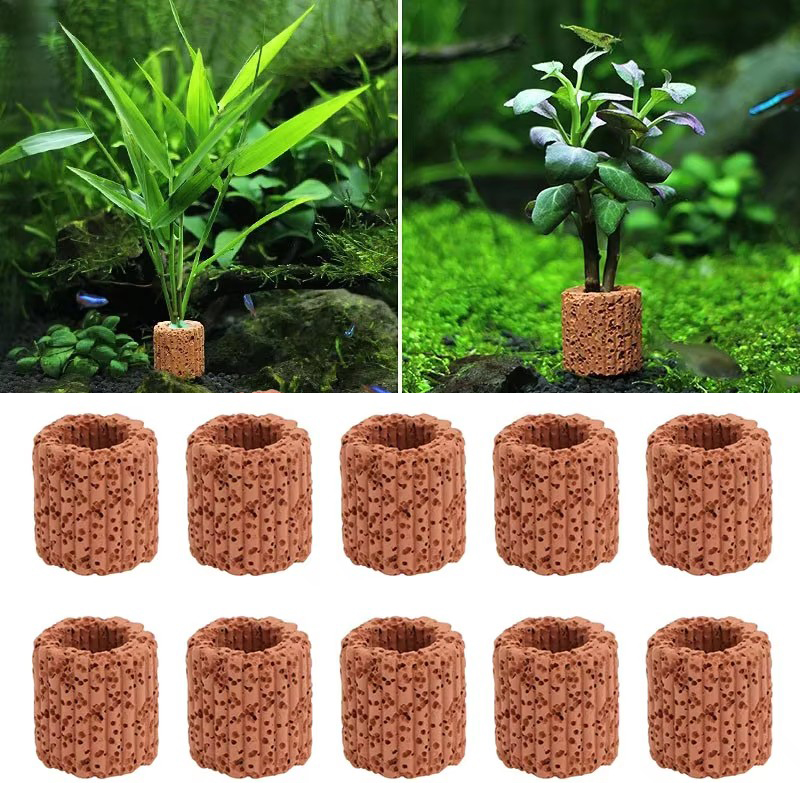 水生植物固定リング水族館風景セラミック水植物ポットリングツー - Aquarium Fish For Sale Online のレビューと価格
