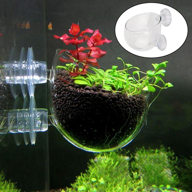 水族館の装飾植物カップポットアクリル水生植物カップ吸引ホルダ - Aquarium Fish Games のレビューと価格