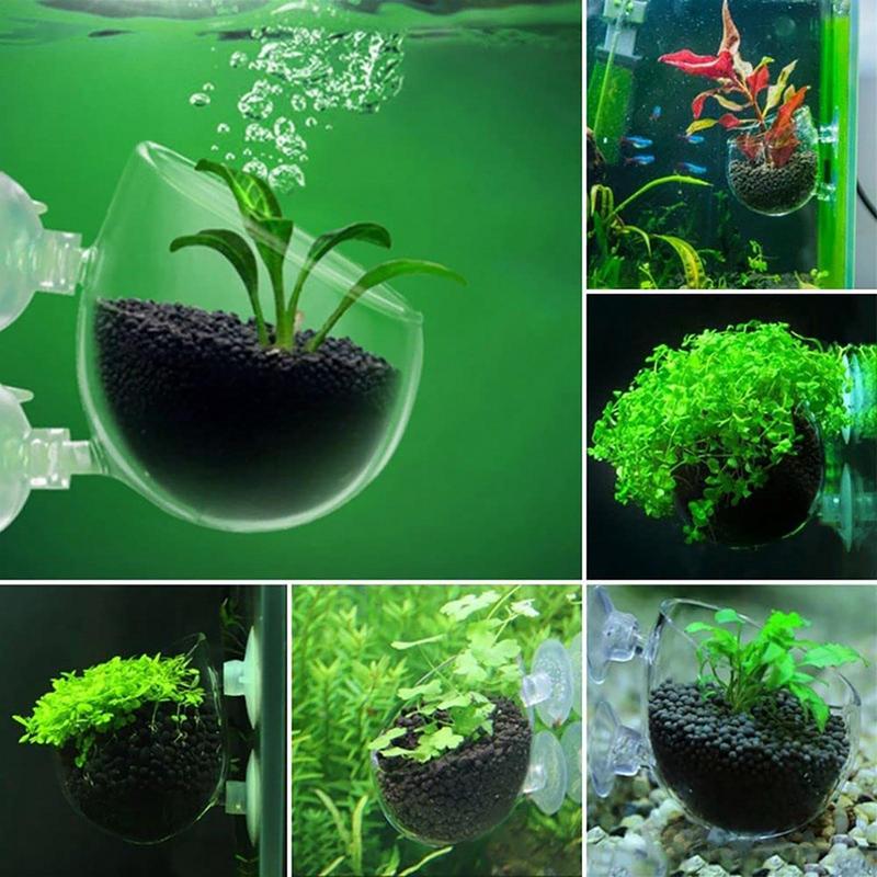水族館の装飾植物カップポットアクリル水生植物カップ吸引ホルダ - Aquarium Fish Games のレビューと価格