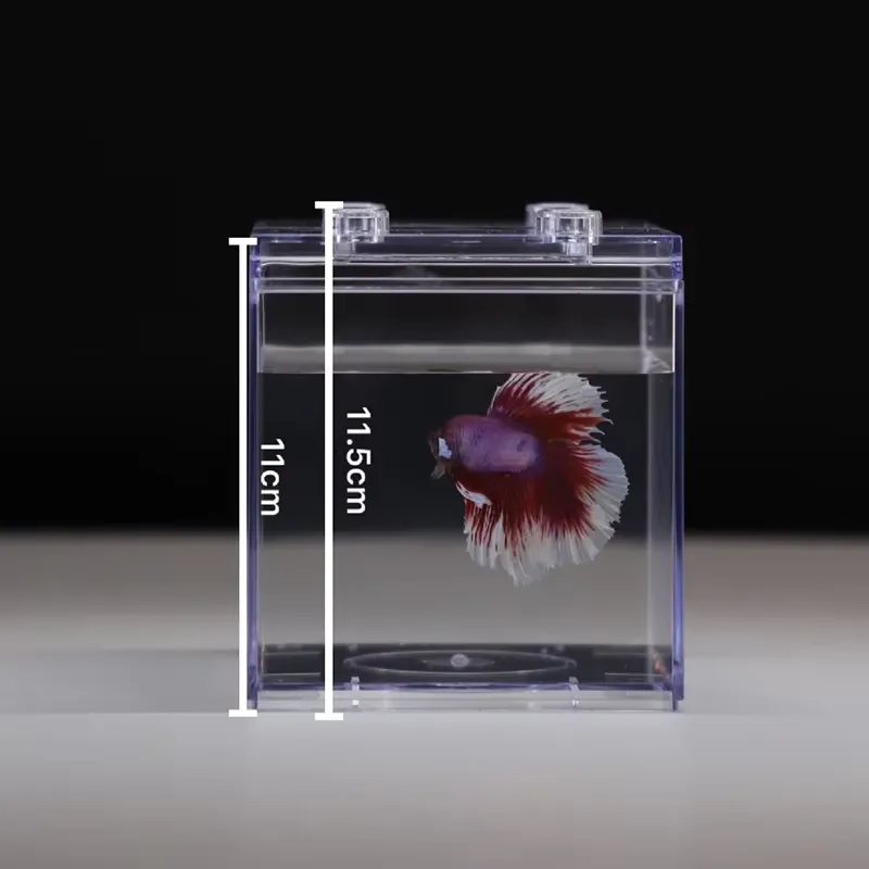リラックスラインズ ミニ水槽ボックス テーブルデコレーション - Aquarium Mini Fish のレビューと価格