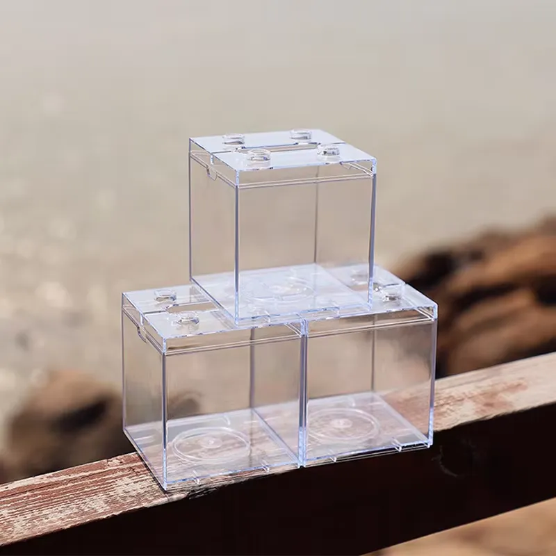 リラックスラインズ ミニ水槽ボックス テーブルデコレーション - Aquarium Mini Fish のレビューと価格