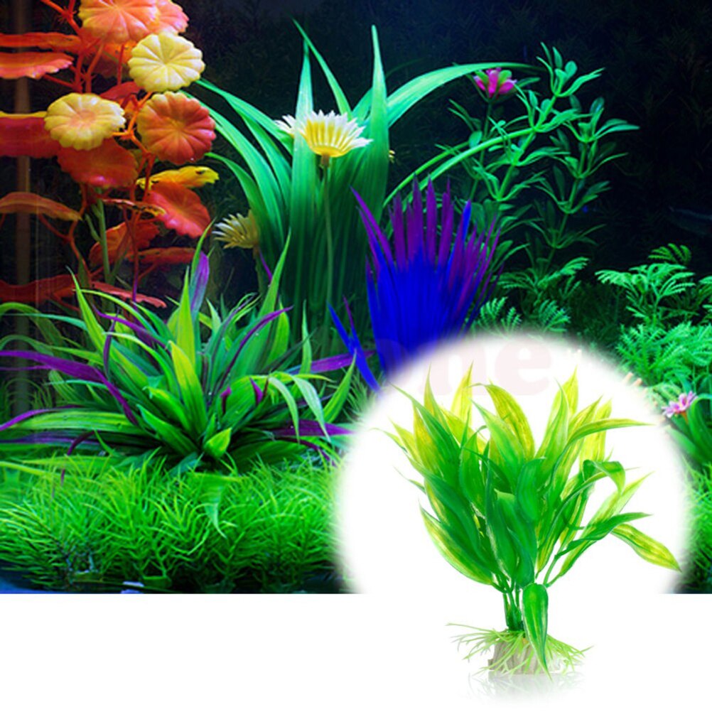 15 センチメートル人工水族館の装飾植物水雑草飾り水生植物水 - Aquarium Fish For Sale Online のレビューと価格