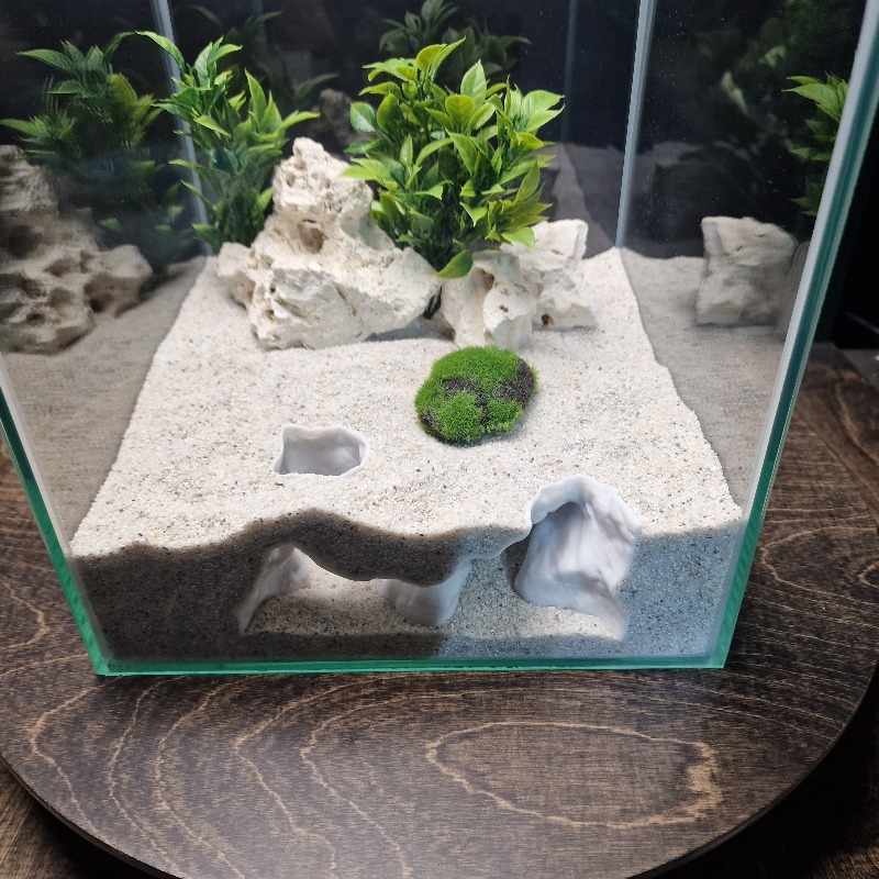 プレミアム3Dプリント製海岸砂水槽洞窟シェルター魚エビ繁殖隠 - Aquarium Fish Games のレビューと価格