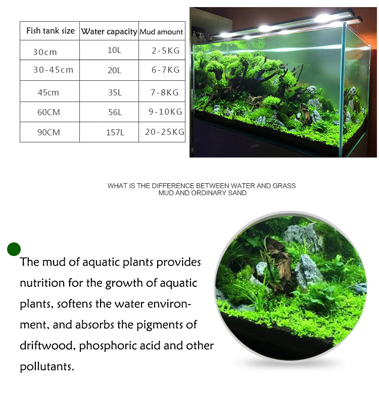 水族館植物の種子,水槽の素材,砂,土壌肥料,魚の手入れ,淡水 - Aquarium Fish Land のレビューと価格