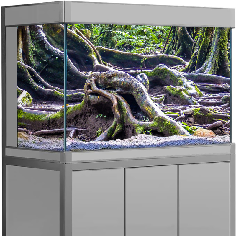 水槽装飾アクアリウム背景ステッカー、3D生態系アクアスケーピ - Aquarium Fish For Sale Online のレビューと価格