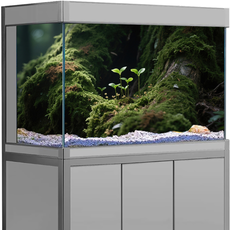 水槽装飾アクアリウム背景ステッカー、3D生態系アクアスケーピ - Aquarium Fish For Sale Online のレビューと価格