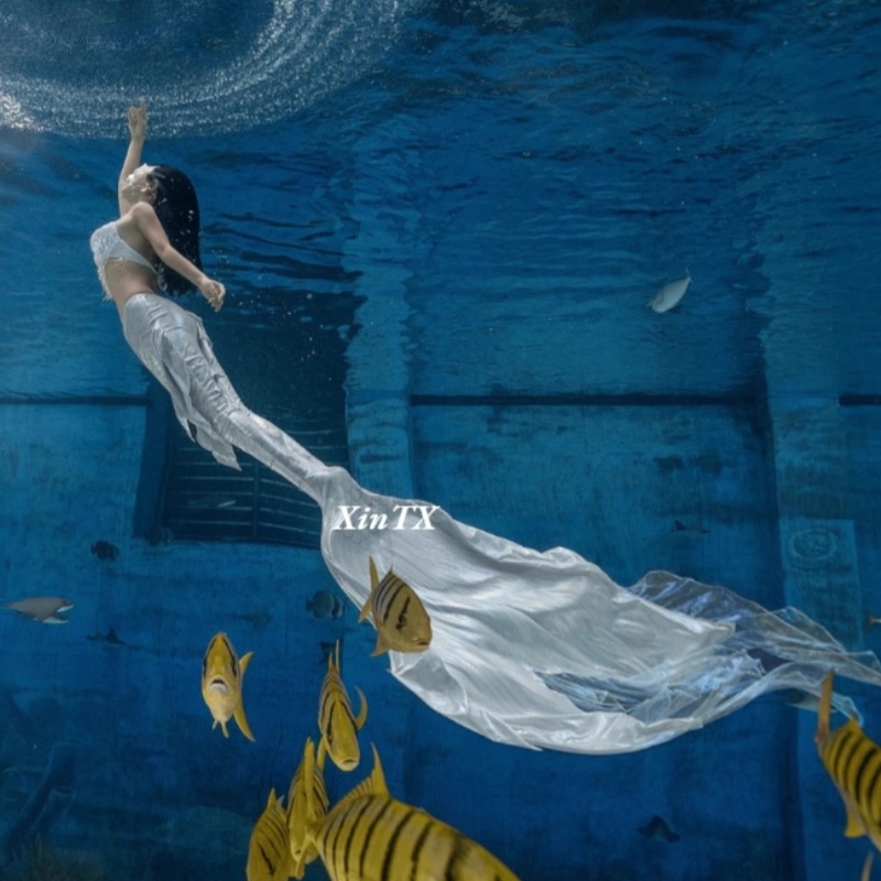 大人用親子向けプロ仕様シミュレーションマーメイドフィッシュテ - Aquarium Fish Big Size のレビューと価格