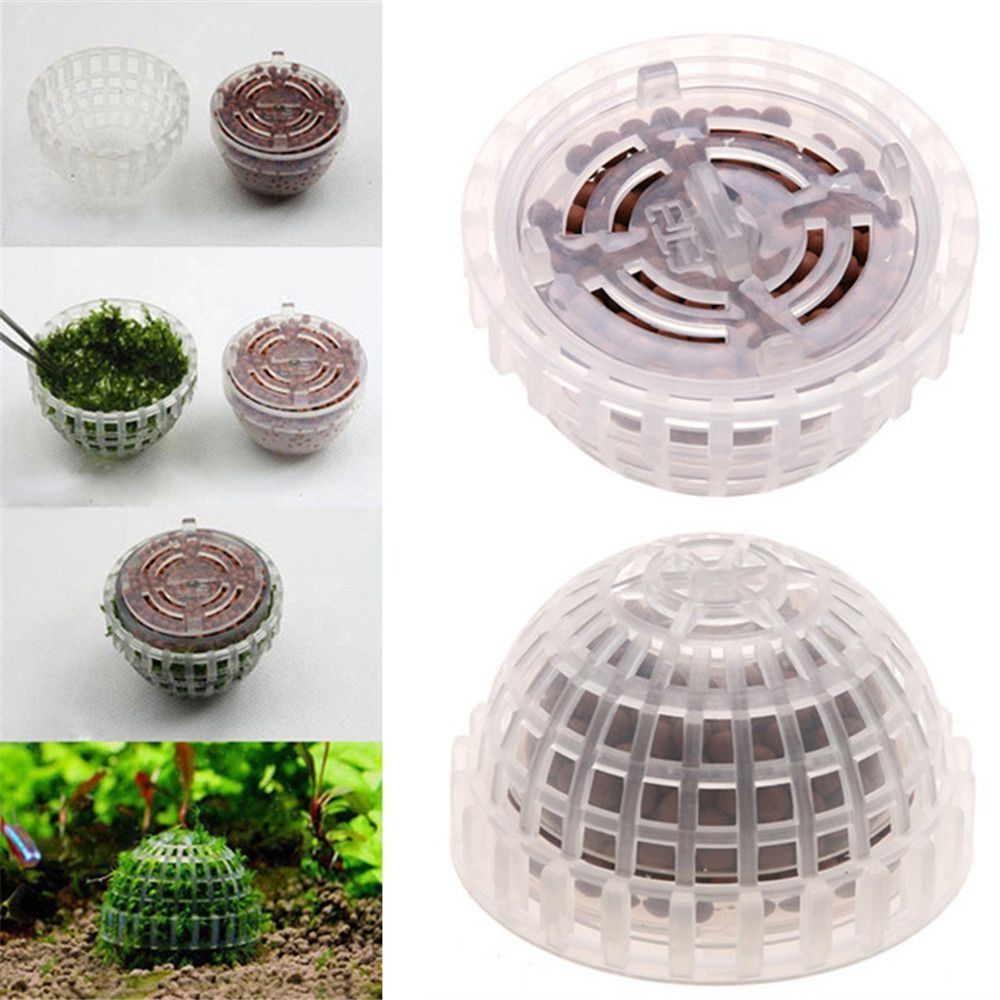 新しいプラスチック製サスペンションモスドーム半円形ホワイトマ - Aquarium Fish For Sale Online のレビューと価格