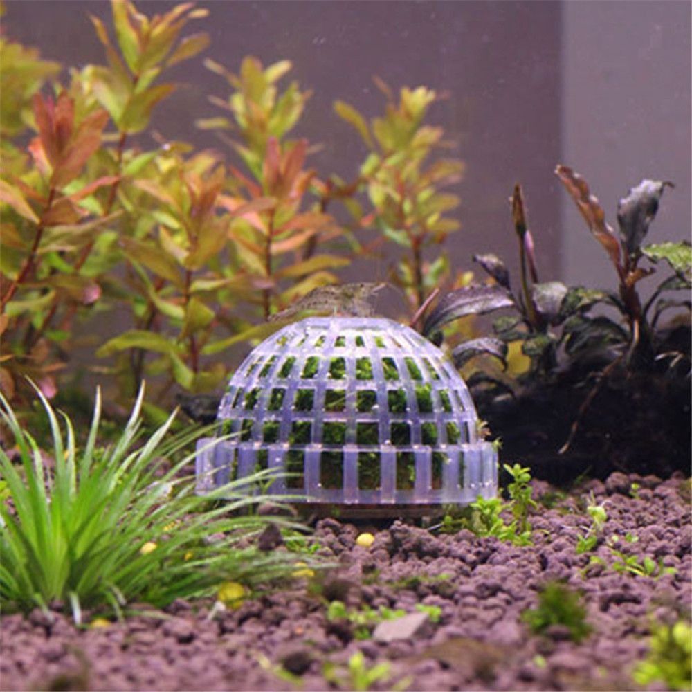 新しいプラスチック製サスペンションモスドーム半円形ホワイトマ - Aquarium Fish For Sale Online のレビューと価格