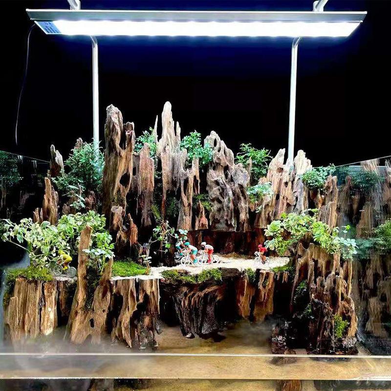 △   エビの木製水槽装飾品、天然の穴が付いた水槽用の流木水 - Aquarium Fish For Sale Online のレビューと価格