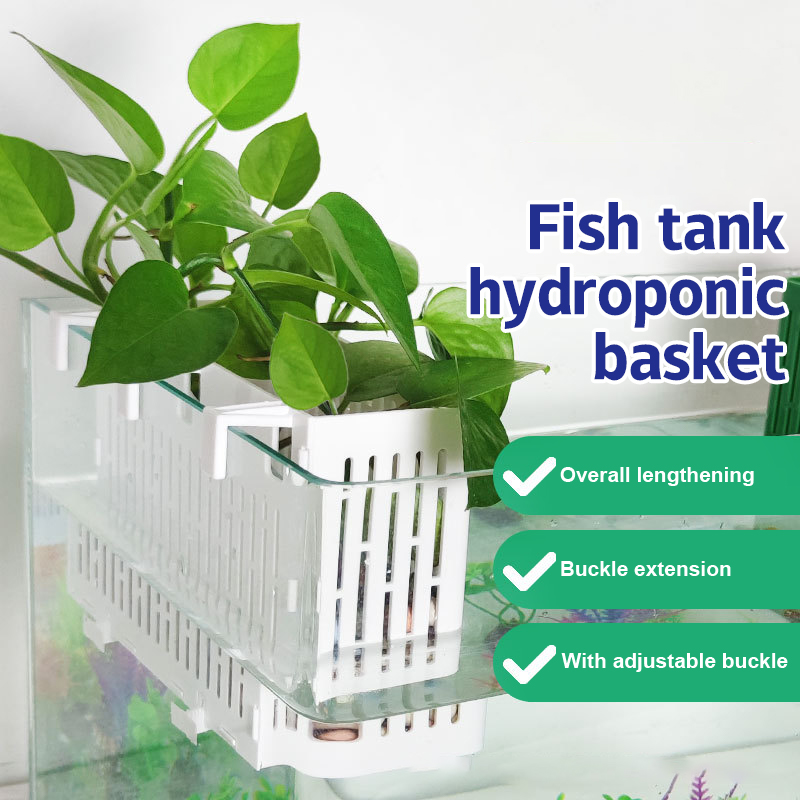 【F】水槽用吊り下げプランター、水生植物ホルダー、耐熱性、水 - Aquarium Fish Land のレビューと価格