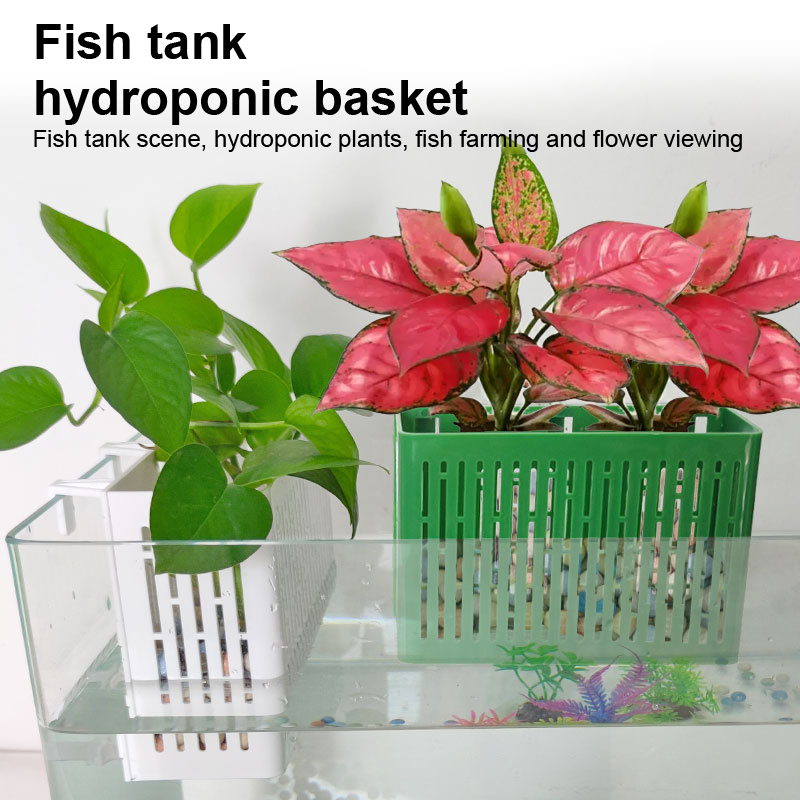 【F】水槽用吊り下げプランター、水生植物ホルダー、耐熱性、水 - Aquarium Fish Land のレビューと価格